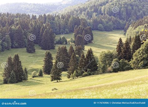 Landscape in the Vessertal a Part of the Thuringian Forest Nature Park in Germany Stock Photo ...