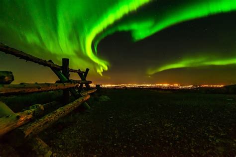 The Aurora last night above Anchorage Alaska : r/pics