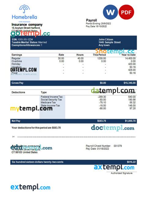 insurance company fully editable earning statement template in Word and PDF formats