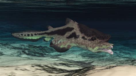 Prehistoric shark Edestus stock illustration. Illustration of edestus - 161356614