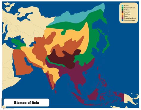 Montessori Materials: Biomes Puzzle Map of Asia