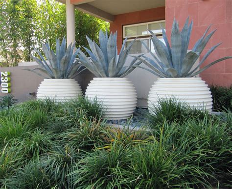 Agave Groove Pots Design avec les plantes, l'avenir de l'horticulture ...