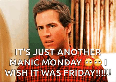 Manic Monday Mondays GIF - Manic Monday Mondays - Discover & Share GIFs