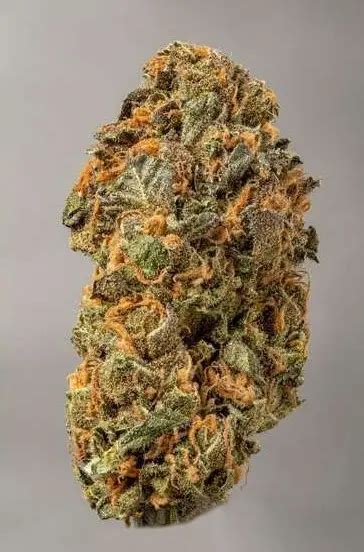 Hybrid Strains: What is Hybrid Marijuana? - Weed Delivery GasDank ...