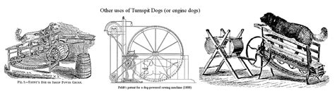 EDIBLE DOGS, TURNSPIT DOGS AND OTHER HISTORIC BREEDS