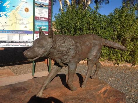 Dampier, Australia - Red Dog Statue | Dog statue, Red dog, Best dogs