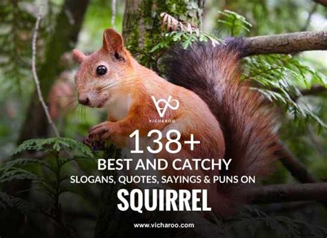 138+ Best Squirrel Day Quotes, Puns & Sayings – Vicharoo