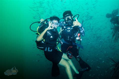 Experience Pondicherry Scuba Diving Couple Activities