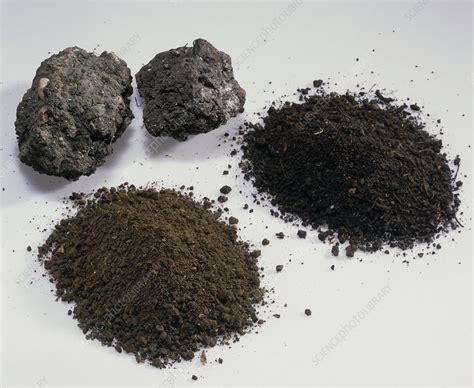 Soil samples - Stock Image - E416/0101 - Science Photo Library