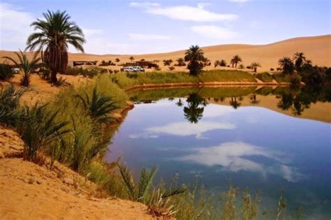 A Spectacular Desert Oasis in the Middle of the Sahara (10 pics ...