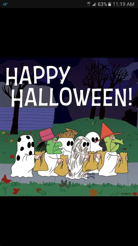 Pin on Back drops | Snoopy halloween, Charlie brown halloween, Happy ...