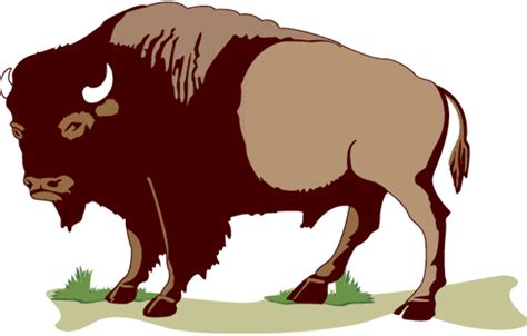 Download High Quality buffalo clipart animated Transparent PNG Images - Art Prim clip arts 2019