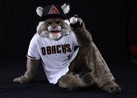 Preston D Baxter the Bobcat Mascot Arizona Diamondbacks Minimalist Postcard by S Postcards ...