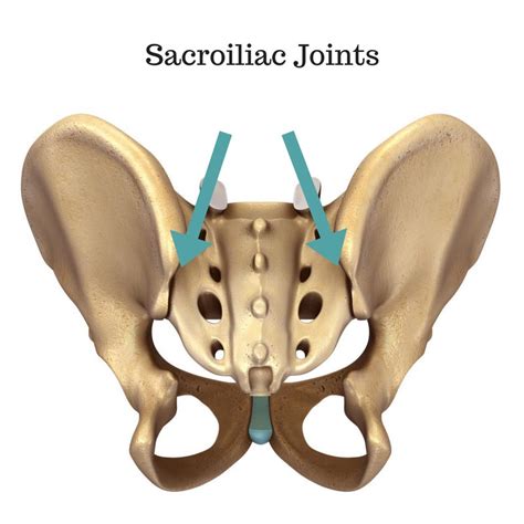 The Sacroiliac Joint: 5 Things We Didn't Learn in Yoga Teacher Training