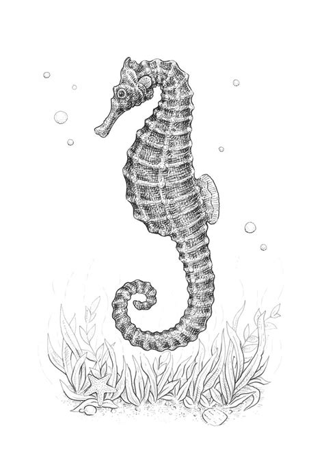 How to Draw a Seahorse With Black and Grey Ink Liners