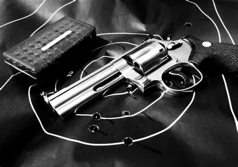 Best 357 Magnum Revolver Brands for Self-Defense » Shooting & Safety