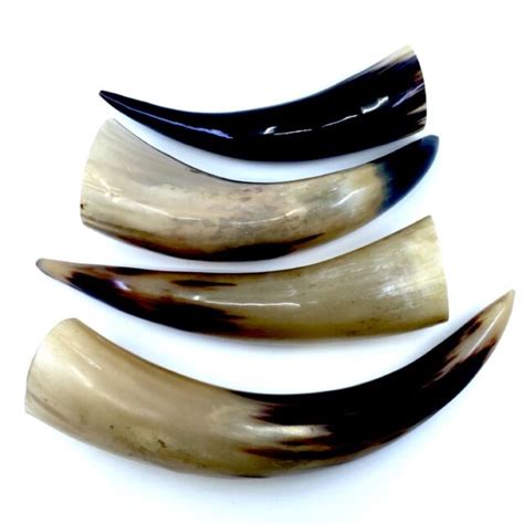 Beautiful Polished Water Buffalo Horns from India Set of 4 Wholesale Lot #13 | eBay