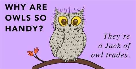 25 Owl Puns That Will Make You Feel Owl The LOLs | Thought Catalog