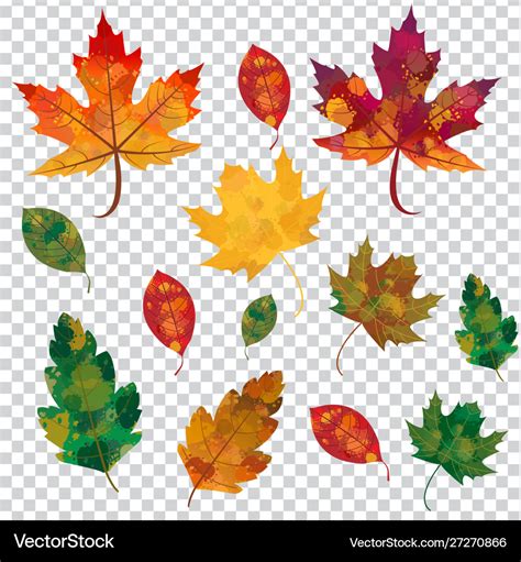 Autumn fall leaves set - isolated Royalty Free Vector Image