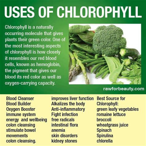 Uses of Chlorophyll. | Natural colon cleanse, Colon cleanse diet, Health