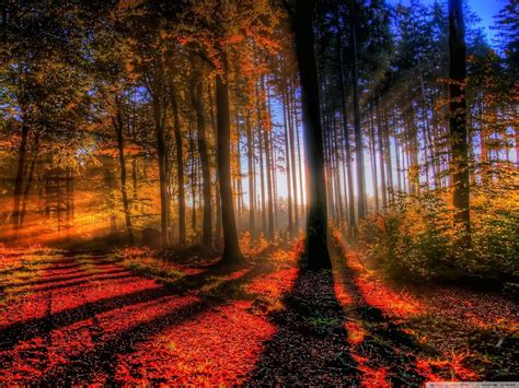 Sunny Autumn Days Wallpapers - Wallpaper Cave