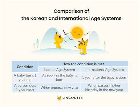 Korean Age: How to Calculate and Talk About It - LingoDeer