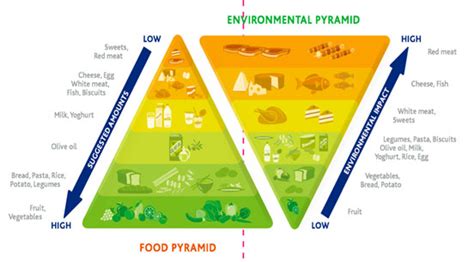 😍 Green revolution and its impact on environment. Green revolution in ...