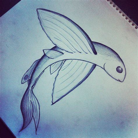 My flying fish drawing | Fish | Pinterest | Drawing ideas, Drawings and ...