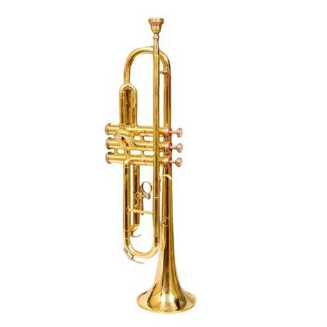 Golden Brass Musical Trumpet, Weight: 1.4Kg at Rs 4988 in Meerut | ID ...