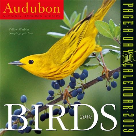 Audubon Birds Page-A-Day Calendar 2019. Nataraj Books