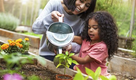 The Science of Ecosystems: Learn Through… | PBS KIDS for Parents