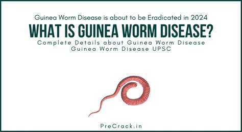 What is Guinea Worm Disease? – Is it about to go extinct in 2024? – Know complete details - PreCrack