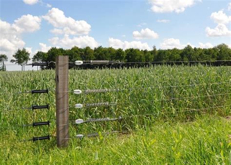 High Tensile Fencing Colorado Springs | High tensile fence, Farm fence, Fence