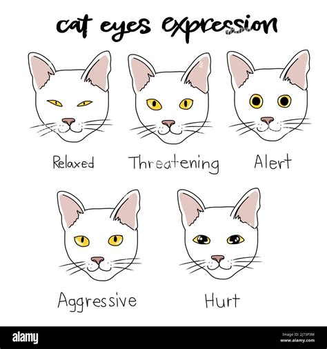 Cat eyes expression chart cartoon vector illustration Stock Vector Image & Art - Alamy