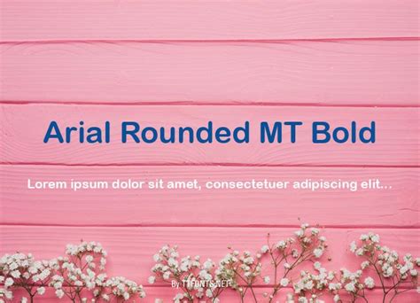 Arial Rounded MT Bold truetype font