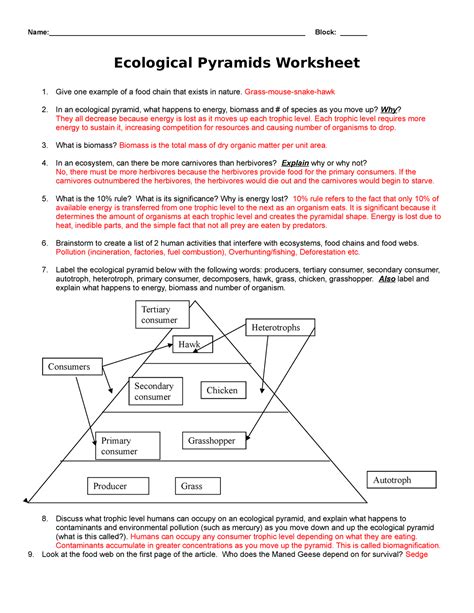 Ecological Pyramids Worksheet Answers