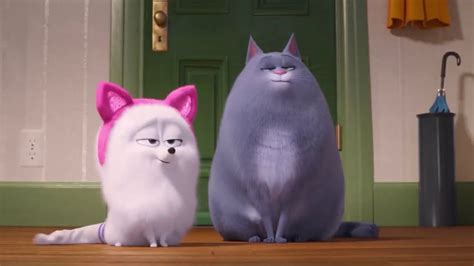 Chloe Teaches Gidget How To Be A Cat • Scene (HD) • Secret Life Of Pets ...