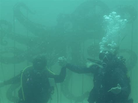 America’s First Underwater Museum Just Opened Off Florida’s Coast