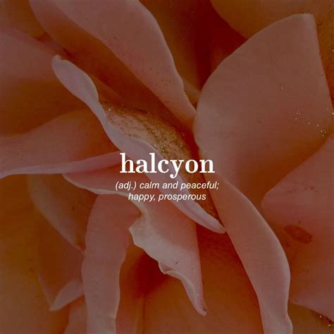 Nalcyon (adj) ..calm and peaceful; happy, prosperous | Rare words, One ...
