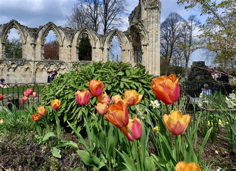 News | York Museum Gardens