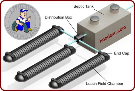 Septic System Graphics & Animation | Kris Bunda Design