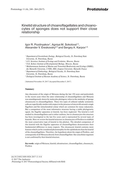 (PDF) Kinetid structure of choanoflagellates and choanocytes of sponges ...