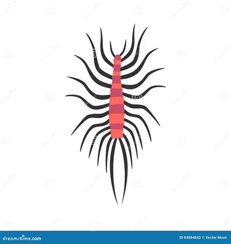 Cute Centipede Animal Cartoon Character Vector. | CartoonDealer.com #84819301