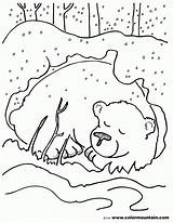 Free Brown Bear Coloring Page Eric Carle Download  sketch template