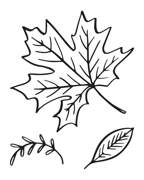 Printable Pumpkin Carving Patterns Templates Leaves | Leaf template printable, Leaf template ...