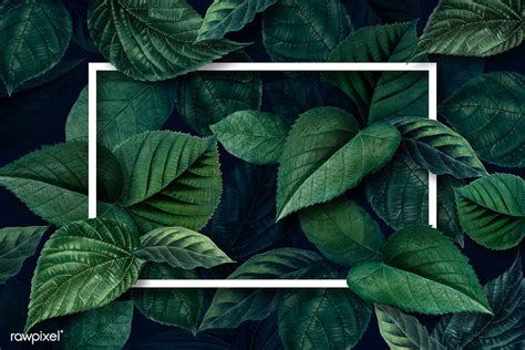 White frame on a metallic green leaves textured background illustration | premium image by ...