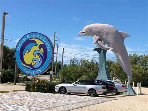 Dolphin Rescue Center - Route 1 Views