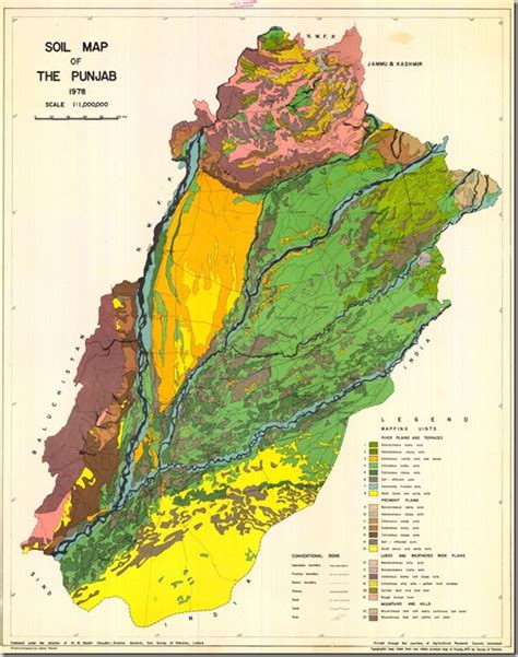 Soil Map of Punjab, Pakistan | Pakistan GIS