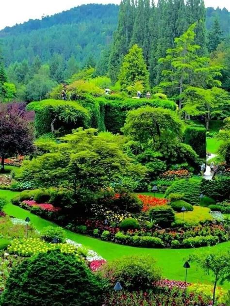 Green view 😍 | Butchart gardens, Botanical gardens near me, Beautiful ...