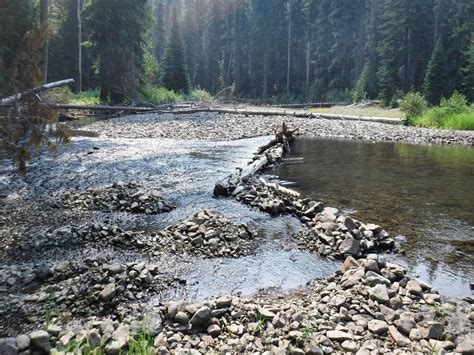 Fish biologists ask recreators not to build rock dams in local rivers | News | dailyrecordnews.com